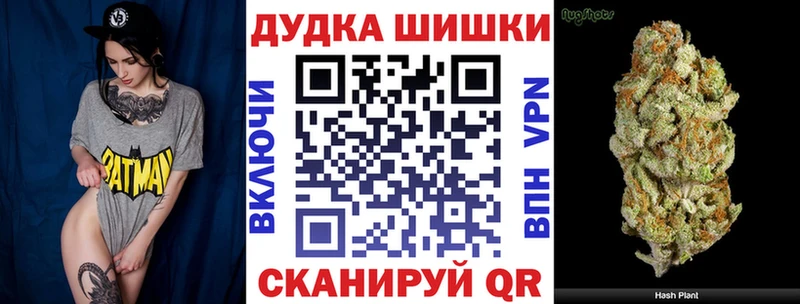 Виды наркотиков купить Тарко-Сале Бошки Шишки  Галлюциногенные грибы  Меф  А ПВП 