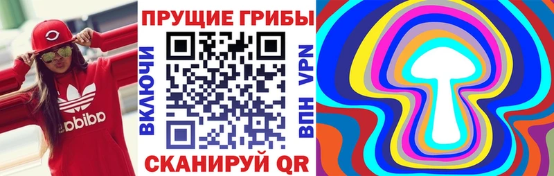 ссылка на мегу   Тарко-Сале  Псилоцибиновые грибы прущие грибы 